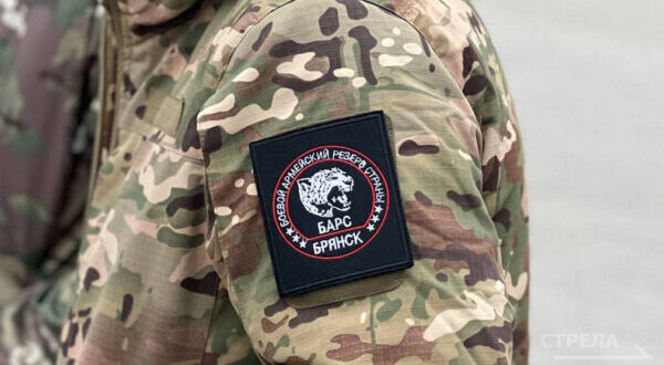 В облдуме поддержали поправки в закон, укрепляющие соцгарантии для бойцов «БАРС-Брянск»