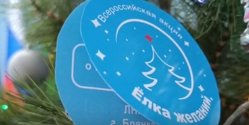 Брянские общественники и добровольцы исполнили новогодние мечты детей из Брянки