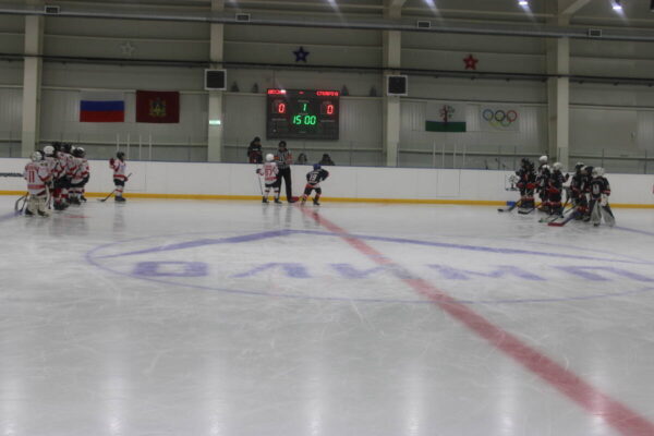 В Стародубе проводятся финальные матчи «Золотой шайбы»