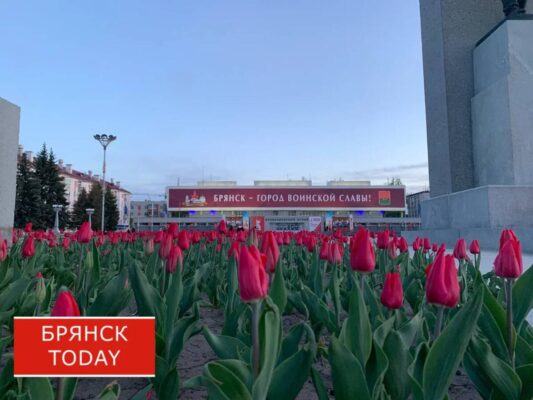 Брянская область включена в госпрограмму восстановления пострадавших территорий