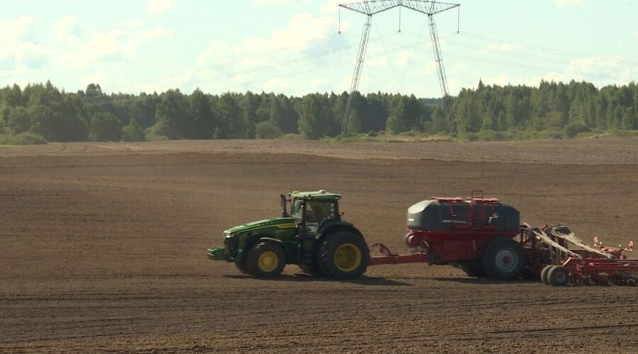 На Брянщине начался сев озимых