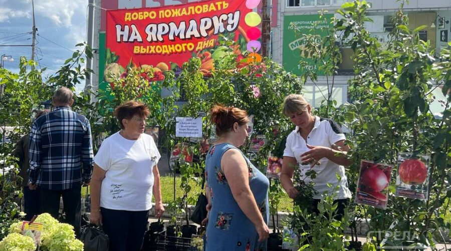 В Брянске во всех районах работают сельхозярмарки выходного дня