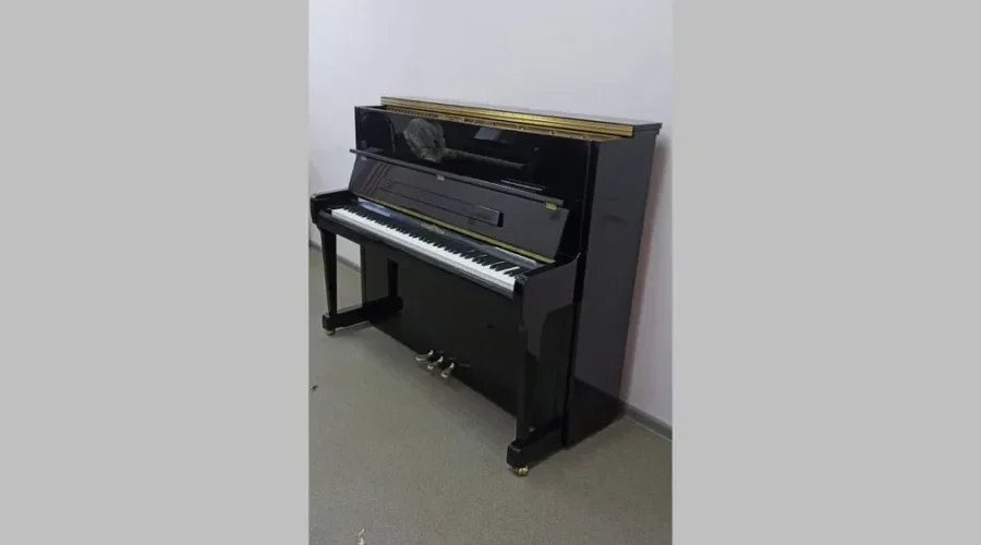 Клинцовская ДШИ имени Беляева получила новые музыкальные инструменты