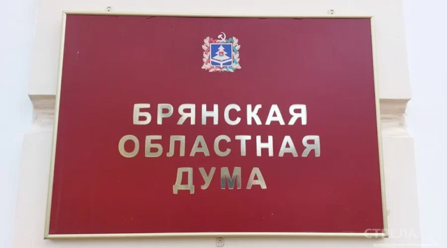 Брянская облдума поддержит многодетные семьи и бойцов СВО