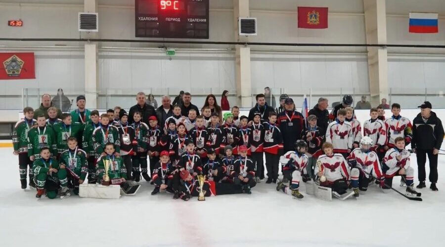 Подведены итоги Кубка Губернатора Брянской области по хоккею среди юношей 2015-2016 годов рождения