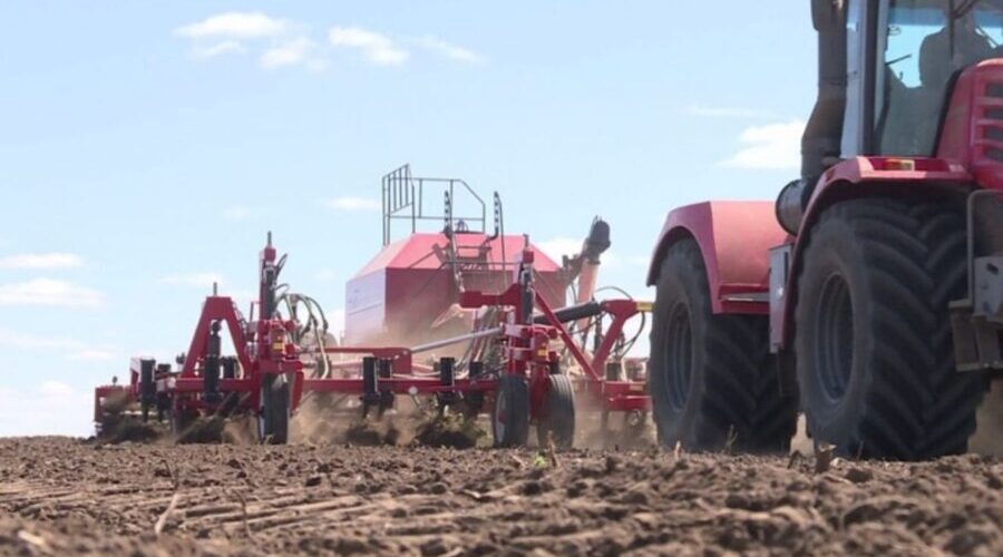 В Брянской области началась посадка раннего картофеля