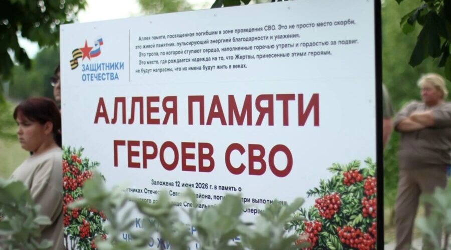 В Севском районе появилась Рябиновая аллея в память о погибших героях СВО Севского района