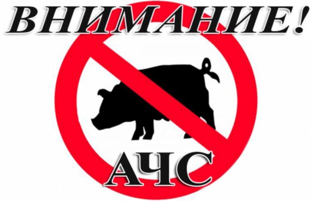 Памятка для населения по профилактике африканской чумы свиней