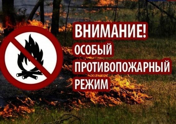 В лесах Брянской области введен особый противопожарный режим