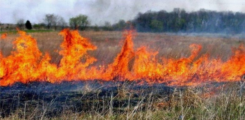 В Жирятинском районе с 14 сентября введен особый противопожарный режим