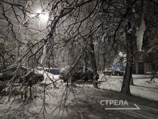 Многие управляющие компании в Брянске опоздали с уборкой мокрого снега