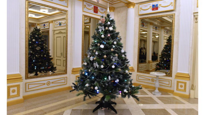 Заместитель брянского губернатора Галина Петушкова исполнила новогоднее желание Арсения