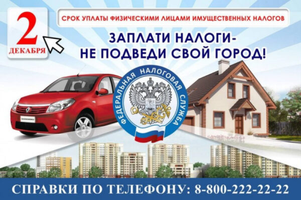 Жителям Брянщины напоминают, что 2 декабря истекает срок уплаты налогов