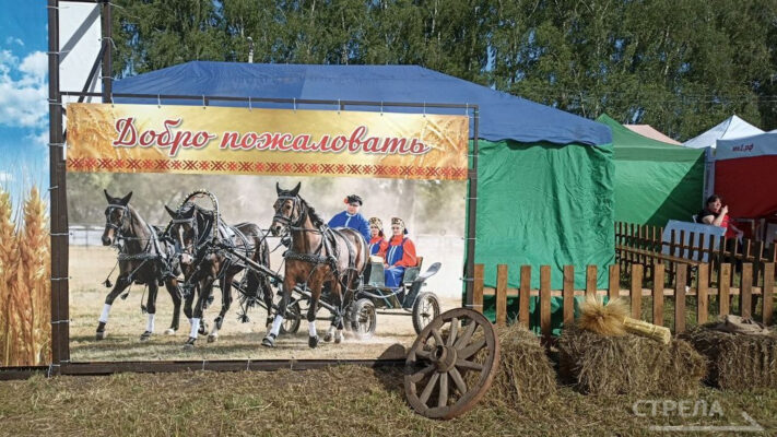 В брянском Кокино работает агровыставка «День поля»