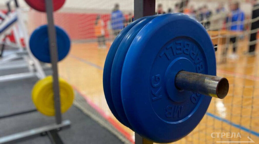 На развитие физкультуры и спорта на Брянщине в этом году выделено 2,738 млрд. рублей