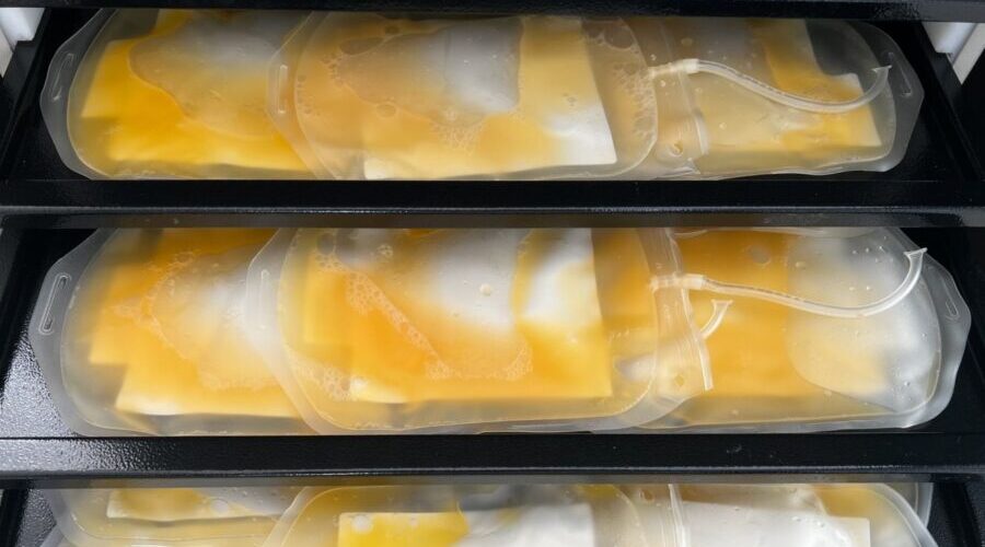 Брянцы помогли заготовить более 400 литров крови за короткую рабочую неделю