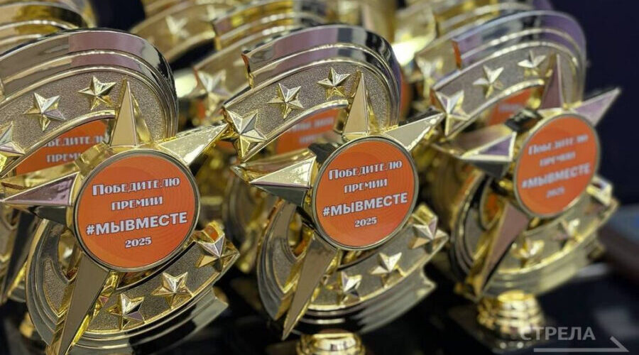 В Брянске наградили победителей регионального этапа премии «Мы вместе»