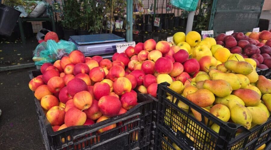 В Брянске продолжают свою работу ярмарки выходного дня