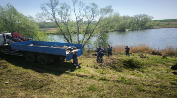 В Брянской области провели экологические акции по очистке берегов водоемов