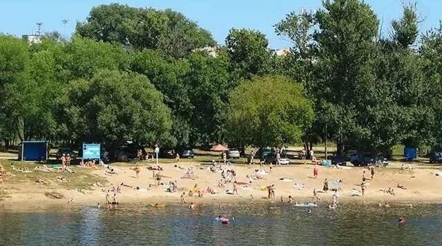 Брянцев призвали соблюдать меры безопасности на пляжах