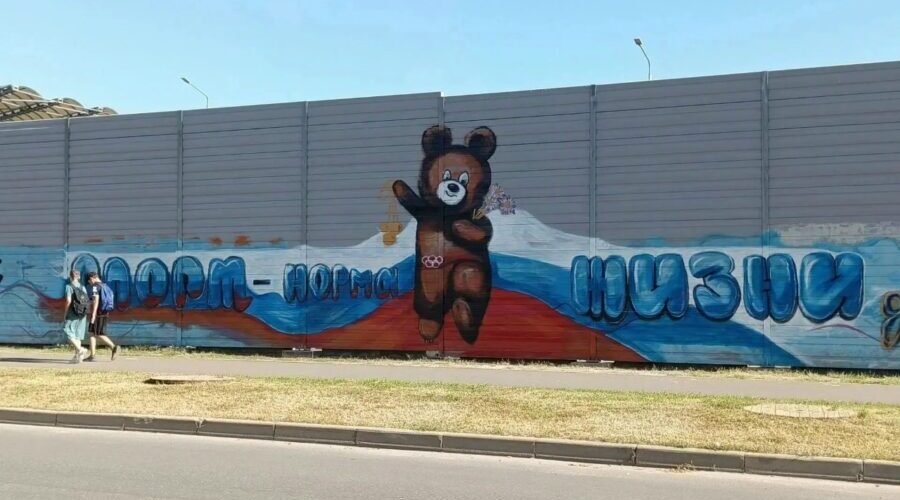 В Брянске федеральный проект «Спорт — норма жизни» поддержали ярким граффити